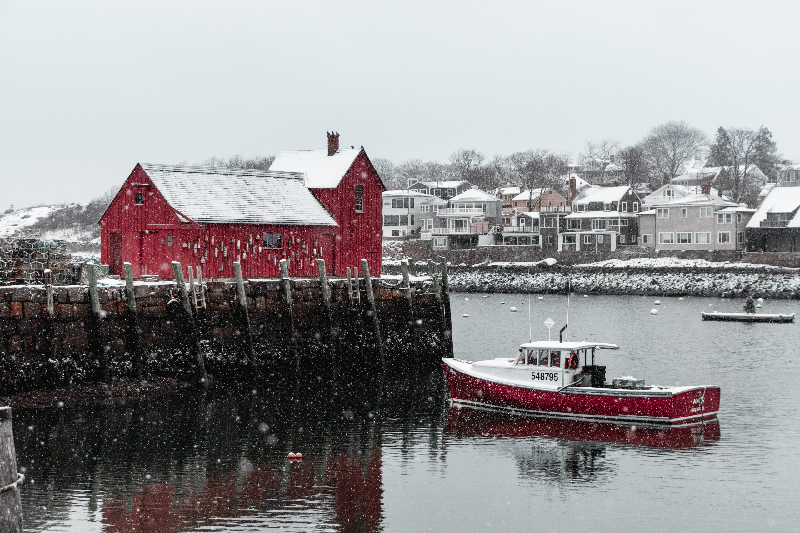 Snowflakes in the Harbor